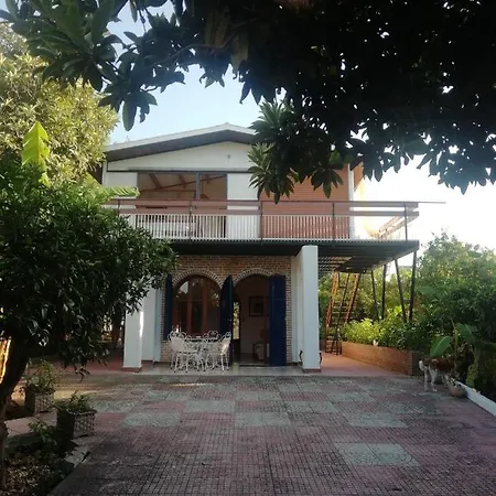 Dei Templari